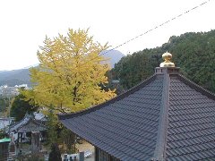 41番・龍光寺