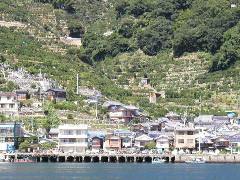 八幡浜の漁港2