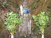 遍路寺の野仏