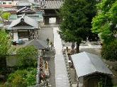 平等寺の見晴らし