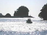 日和佐の海