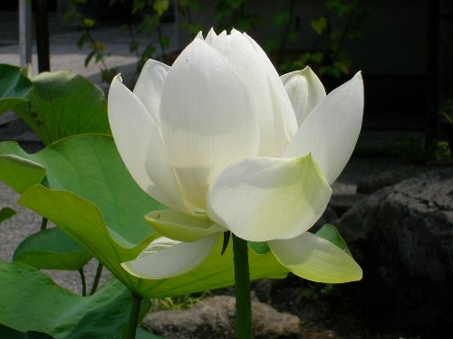 nXE{oEqs咬"