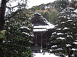 yQ
