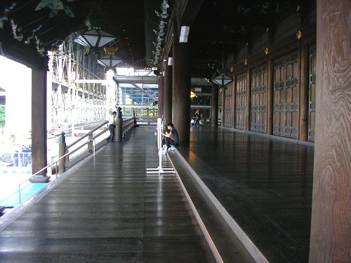 {莛eLQ