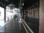 {莛eLQ