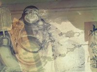 zܑ̎ʐ^z