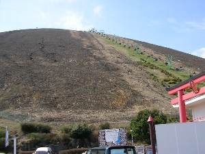 厺R