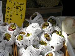 マンゴスチン入荷