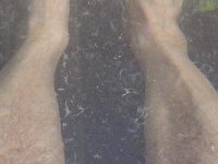 ؕC ̉
