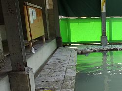 ʊpx̗