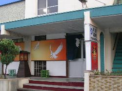 lgE̐