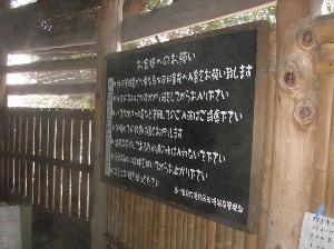 쉷E쑤̉Hڔ