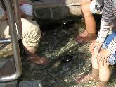 人気の足湯3