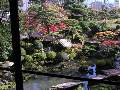 鶴舞館1