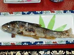 長男の釣ったイワナ
