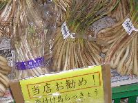 島らっきょう