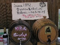 酒井ワイナリー1