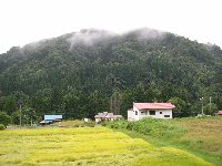 只見線車窓風景4