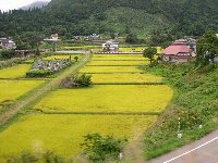 只見線車窓風景7