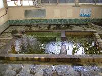 堤温泉浴槽 堤温泉浴槽