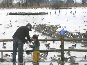 瓢湖 瓢湖