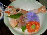 刺身 刺身