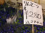 りんどう\280 りんどう\280