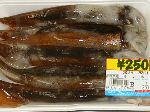 岩手産生イカ\280 岩手産生イカ\280