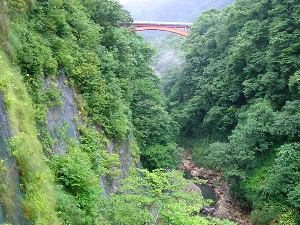 皆瀬川の峡谷 皆瀬川の峡谷