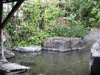 ぬるかわ温泉露天風呂 ぬるかわ温泉露天風呂