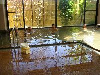 堀田温泉の内湯 堀田温泉の内湯