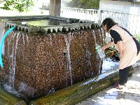 小津留湧水 小津留湧水