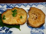 自家製椎茸の焼物 自家製椎茸の焼物