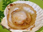 ホタテの焼物 ホタテの焼物