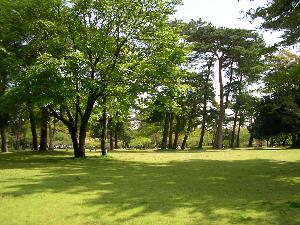 別府公園 別府公園