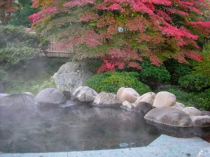 庭園露天風呂 庭園露天風呂