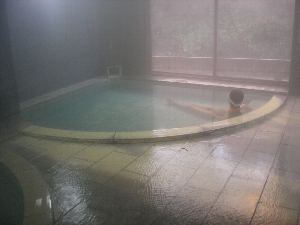 松川荘内湯 松川荘内湯