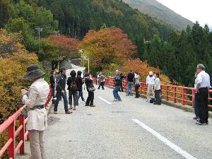 高井橋 高井橋