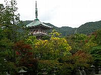 境内の紅葉2 境内の紅葉2