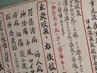 炭酸泉と鉄鉱泉の説明書 炭酸泉と鉄鉱泉の説明書