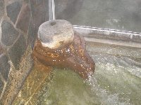 宝湯 湯口