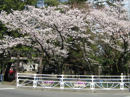 日吉神社 日吉神社