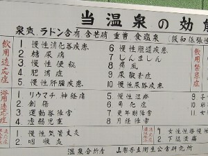 分析表の一部 分析表の一部