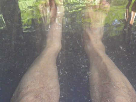 木風呂の湯の華 木風呂の湯の華