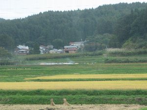 田園風景 田園風景