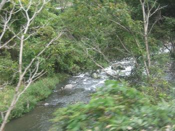 沿線の景色 沿線の景色