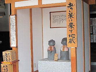 Vn