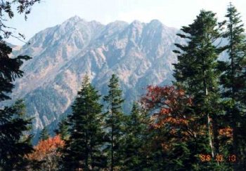 䍂x