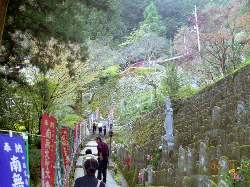 岩屋寺の最後の登り