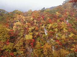 鳴子峡・中山平口付近